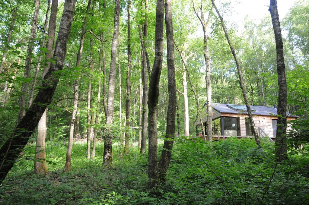Droles D'Ecureuils Villa Les Nobertins Екстериор снимка